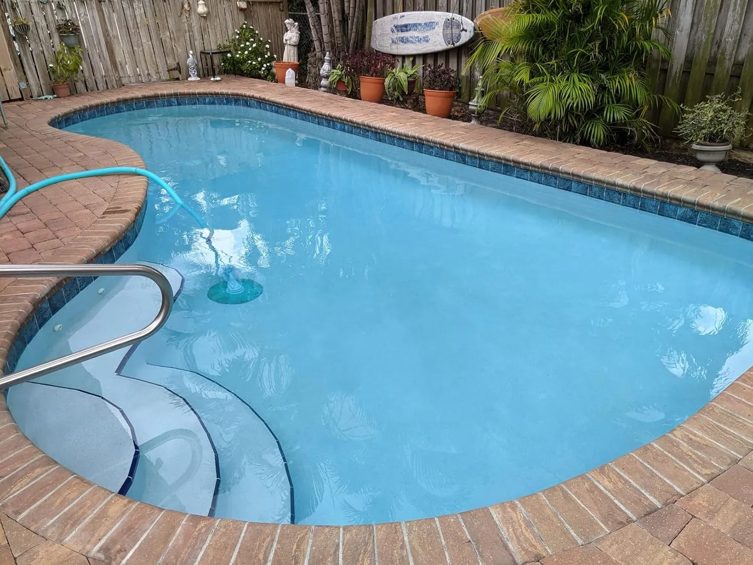 Customer review photo for Why Black Algae Is Worse Than You Think