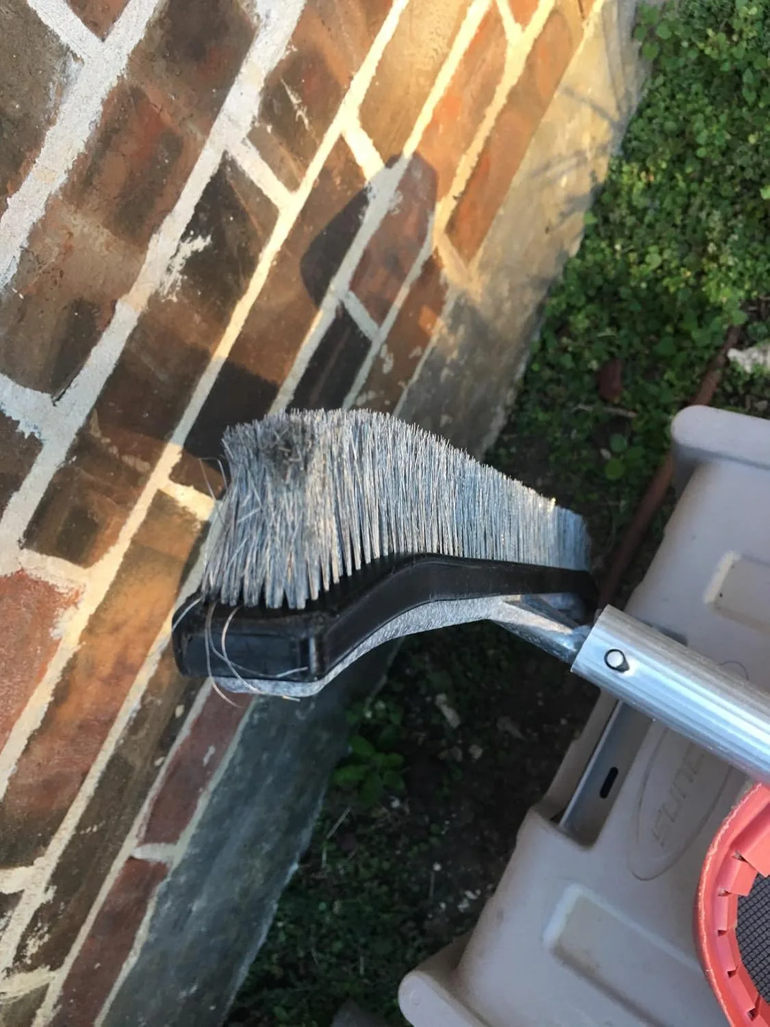 Customer photo of black algae buildup on pool walls and floor