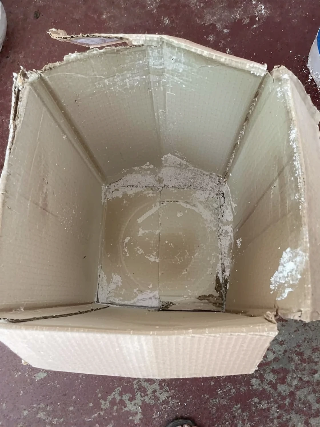 Customer photo of pool water clarity test during spring opening process