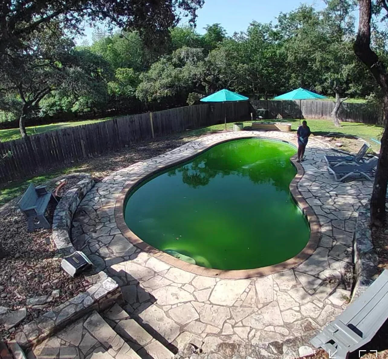 Customer review photo for Why This Problem Is Worse Than You Think