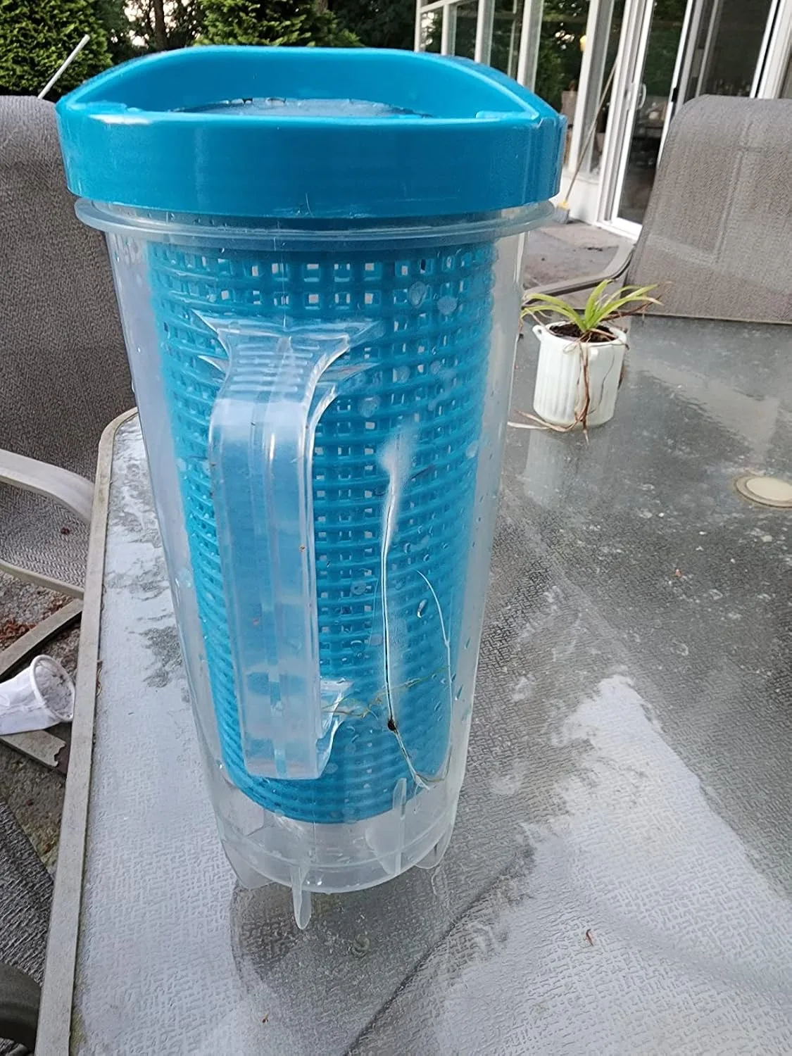 Customer photo of pool leaf canister filled with collected debris and leaves