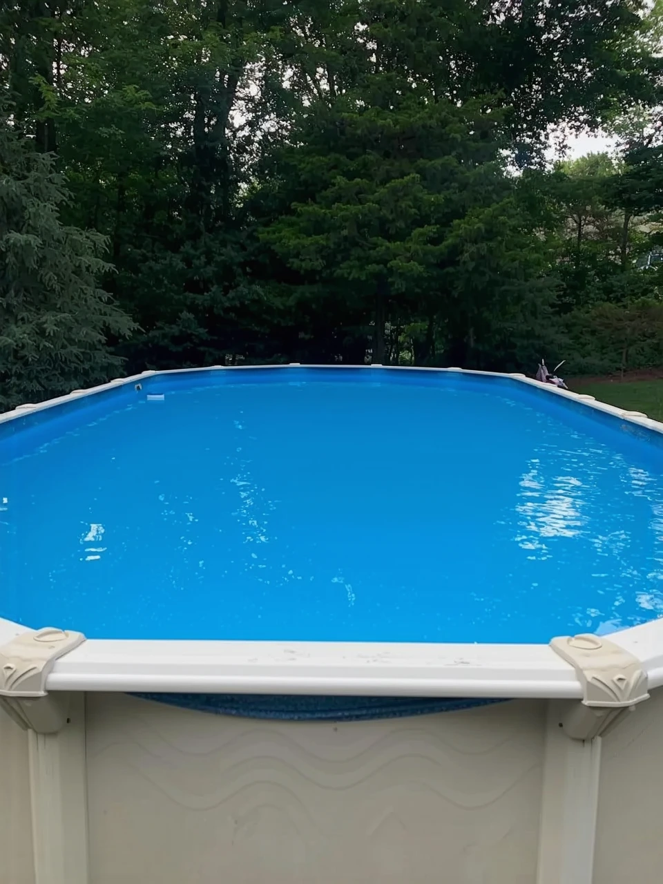 Customer review photo for My Step by Step Spring Pool Opening: No Green Water