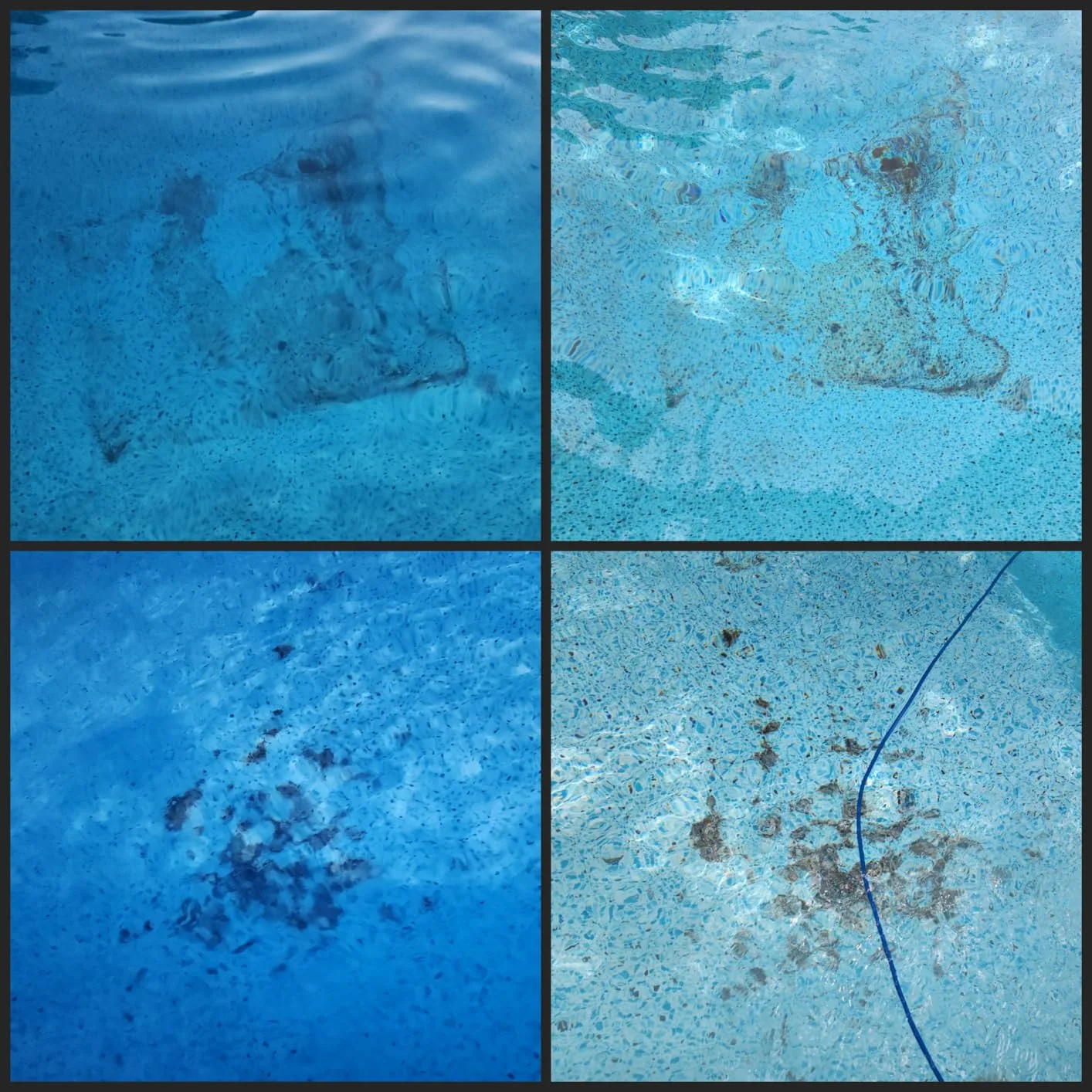 Customer photo of pool water showing metal stain discoloration after chemical treatment