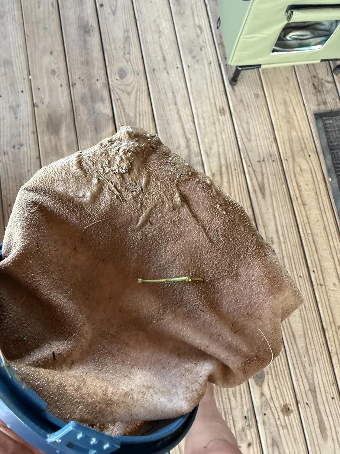 Customer review photo for Why Skipping Small Messes Is Worse Than You Think