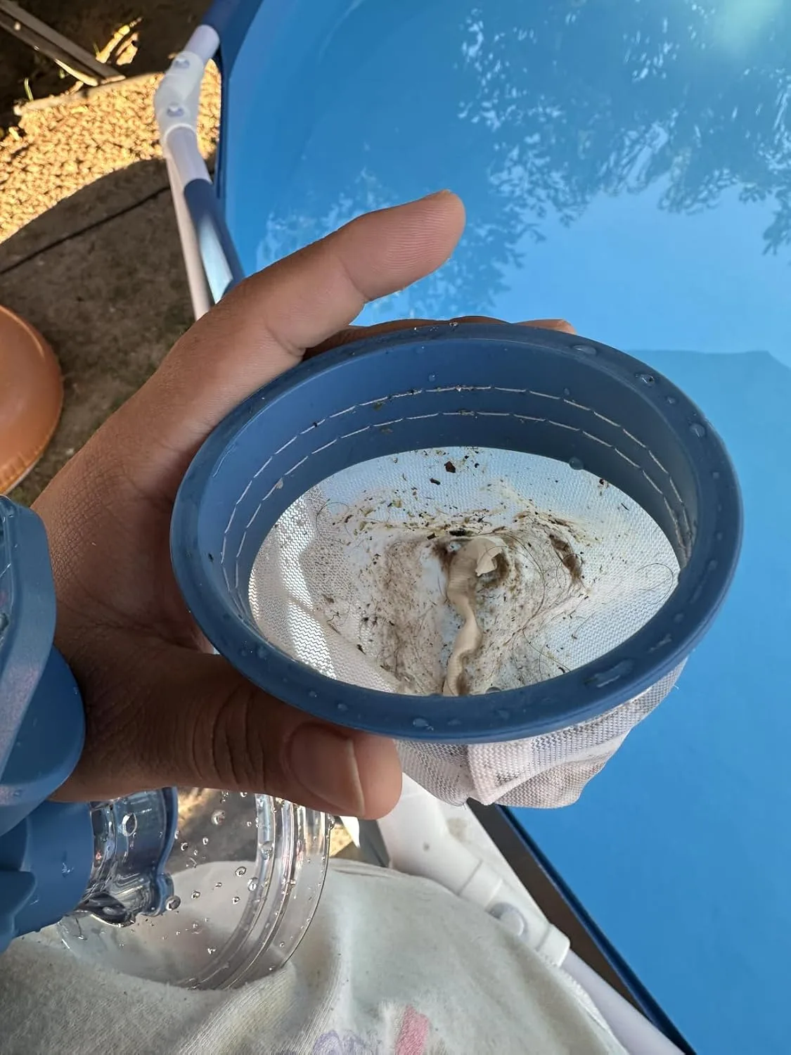 Customer review photo for Best Vacuums for Above-Ground Pools Tested