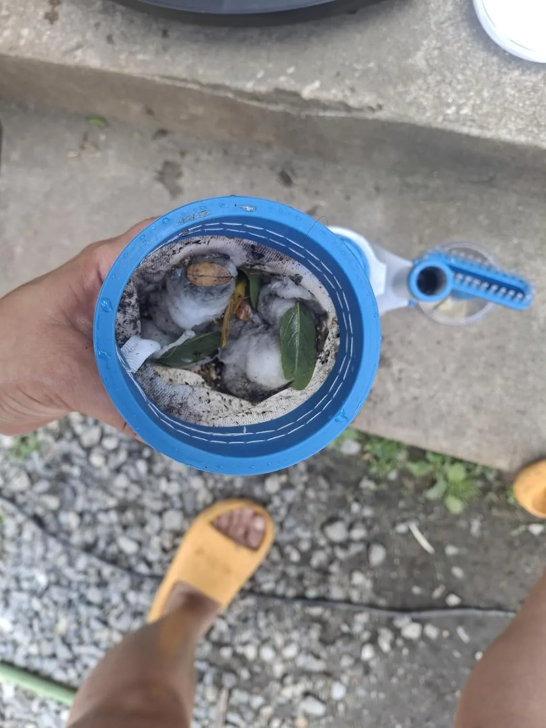 Customer review photo for Best Vacuums for Above-Ground Pools Tested