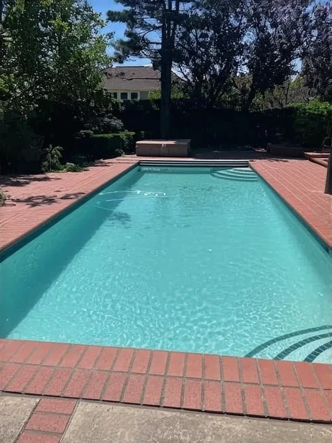 Customer review photo for Algae Will Not Die? The Phosphate Problem You Are Missing