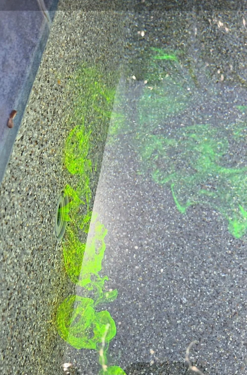 Customer review photo for Why a Dropping Water Level Is Worse Than You Think